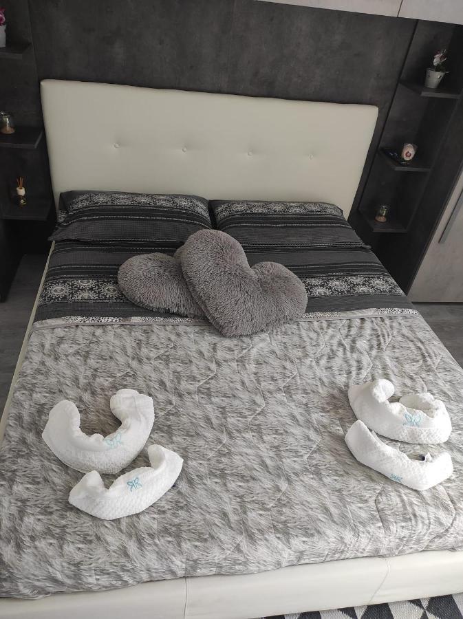 Dream House...La Casa Dei Sogni ! Apartment Ladispoli Ngoại thất bức ảnh